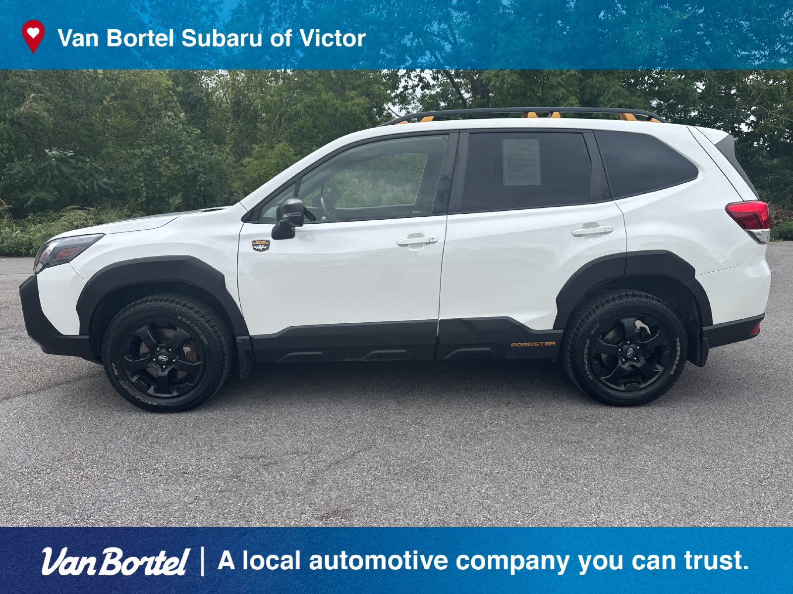 Certified 2024 Subaru Forester Wilderness AWD/4WD image 3