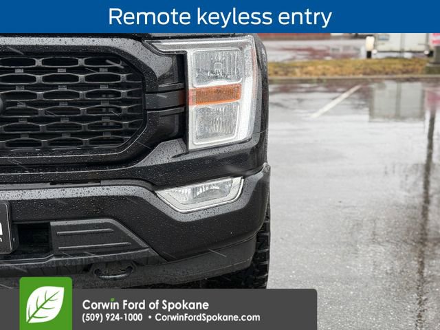 Used 2022 Ford F150 XL w/ STX Black Appearance Package image 9