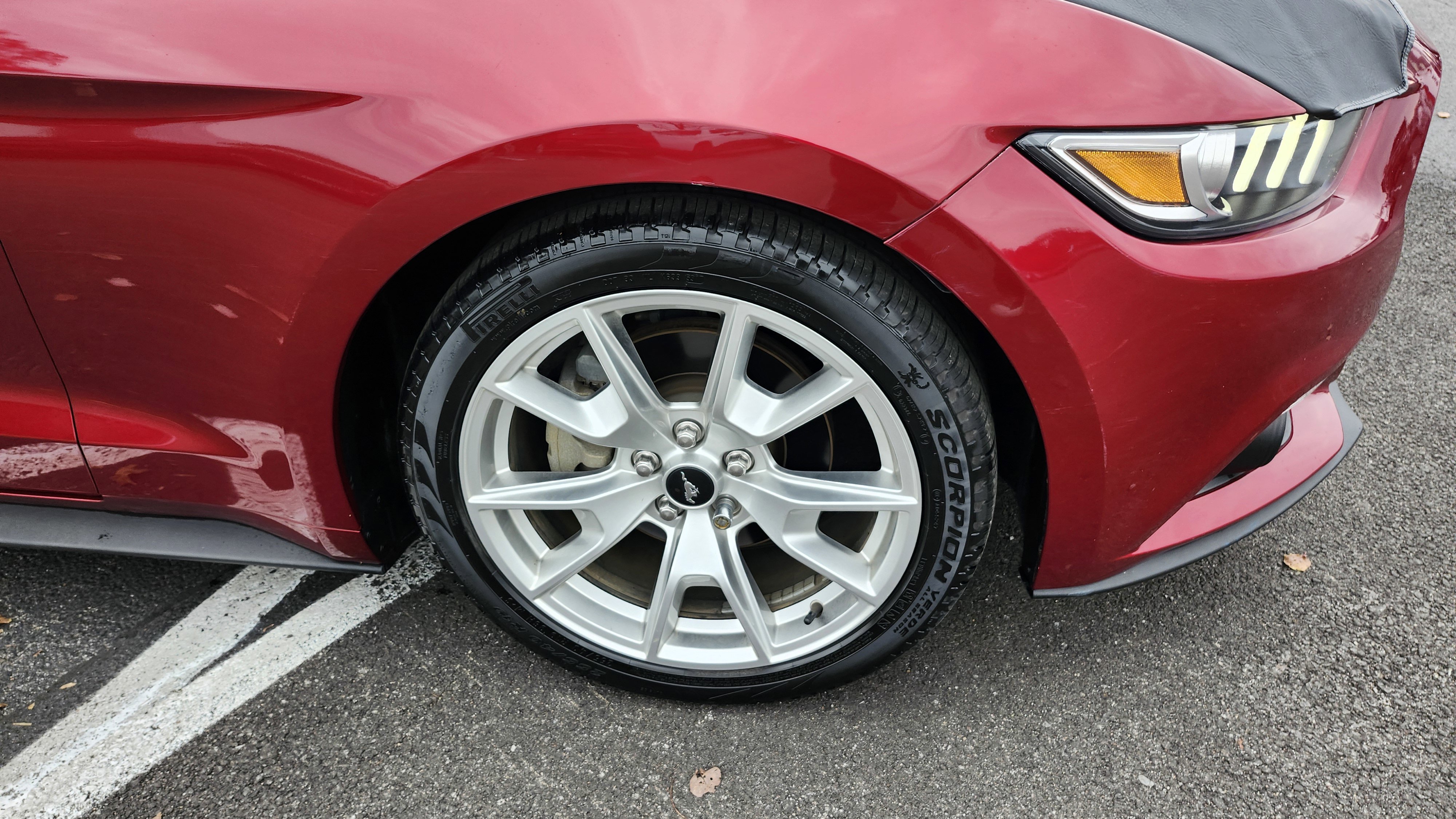 Used 2015 Ford Mustang Premium w/ Equipment Group 201A image 13