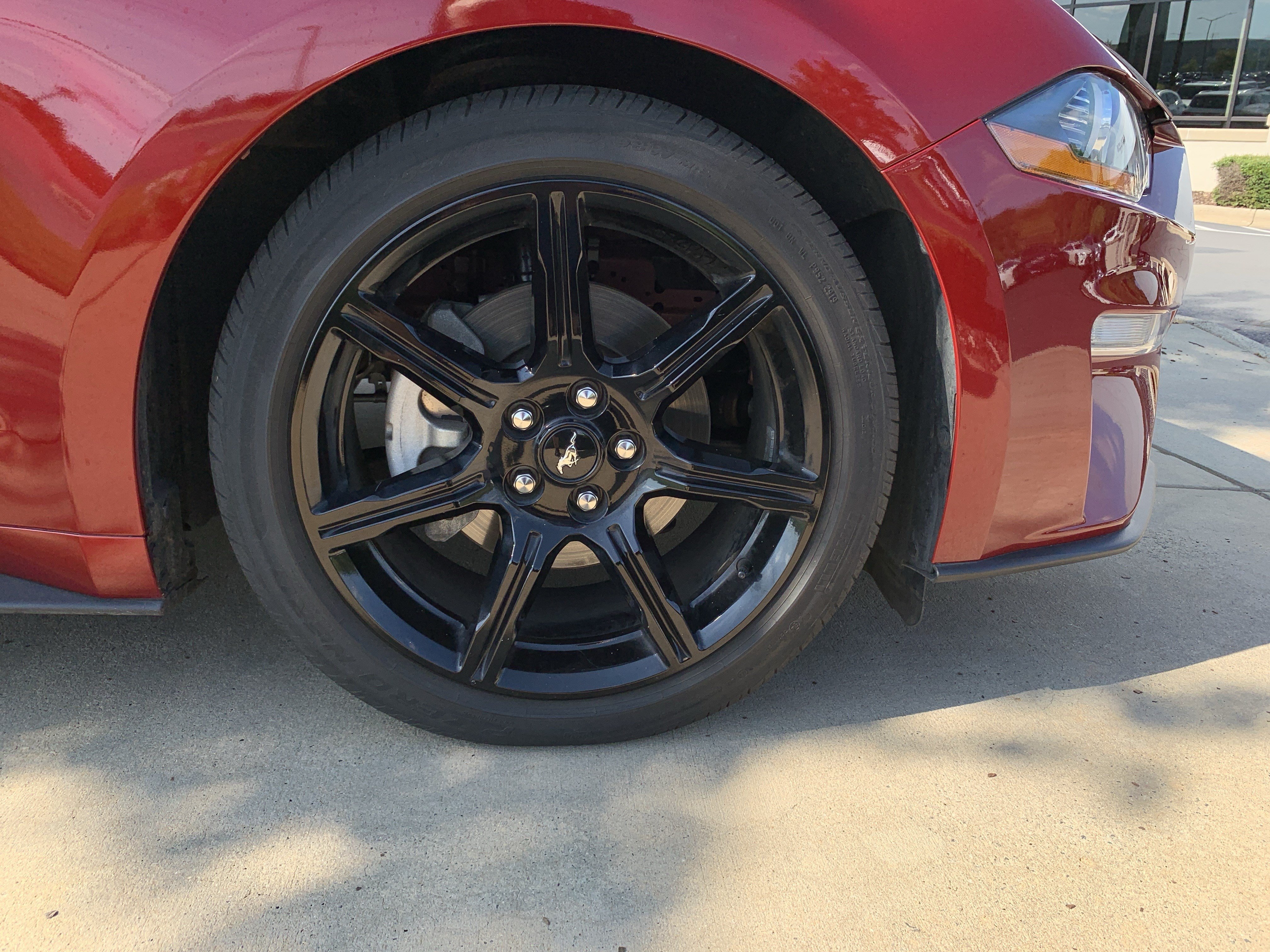Used 2019 Ford Mustang Premium w/ Equipment Group 201A RWD image 13