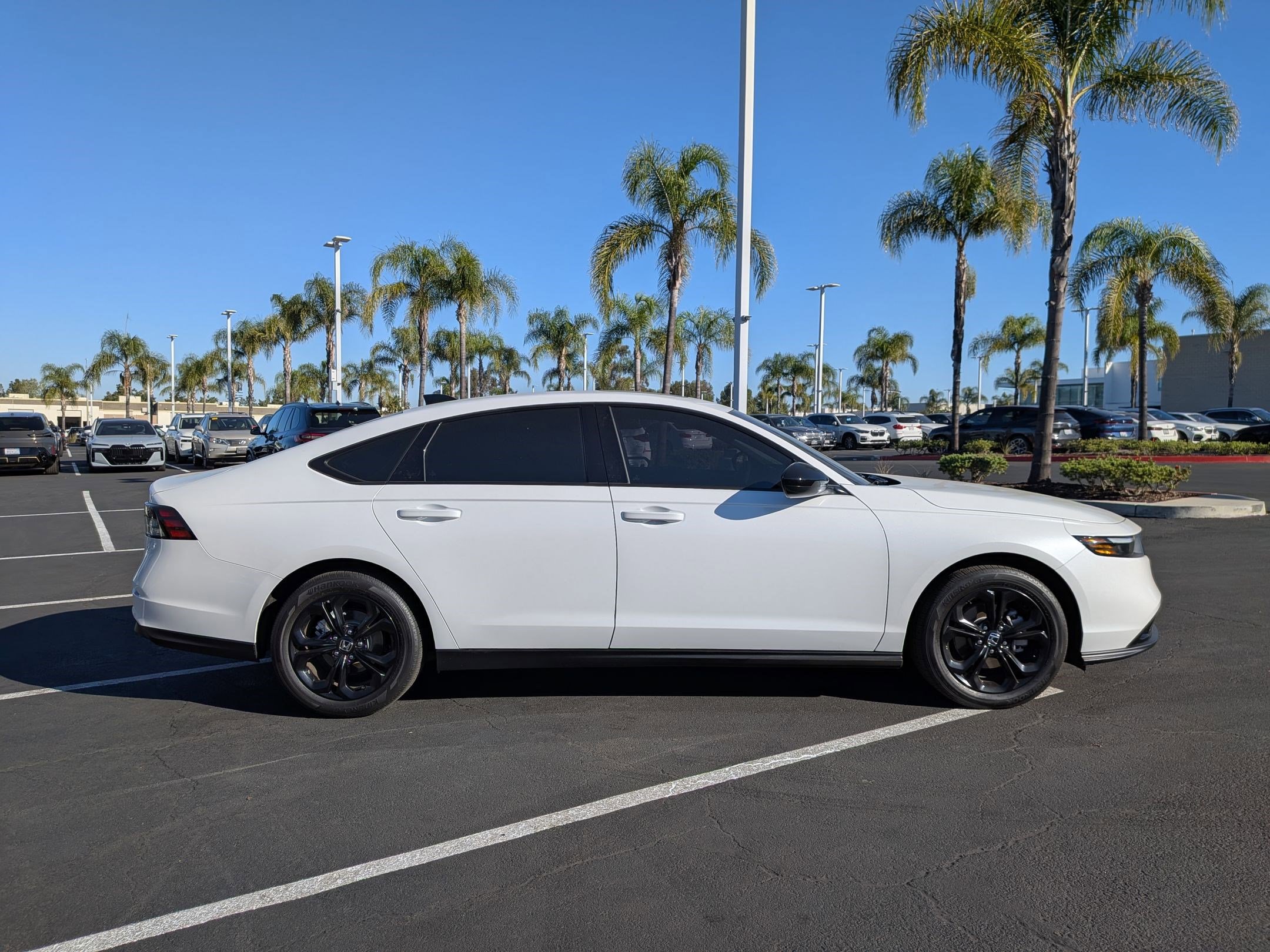 Used 2025 Honda Accord SE image 11