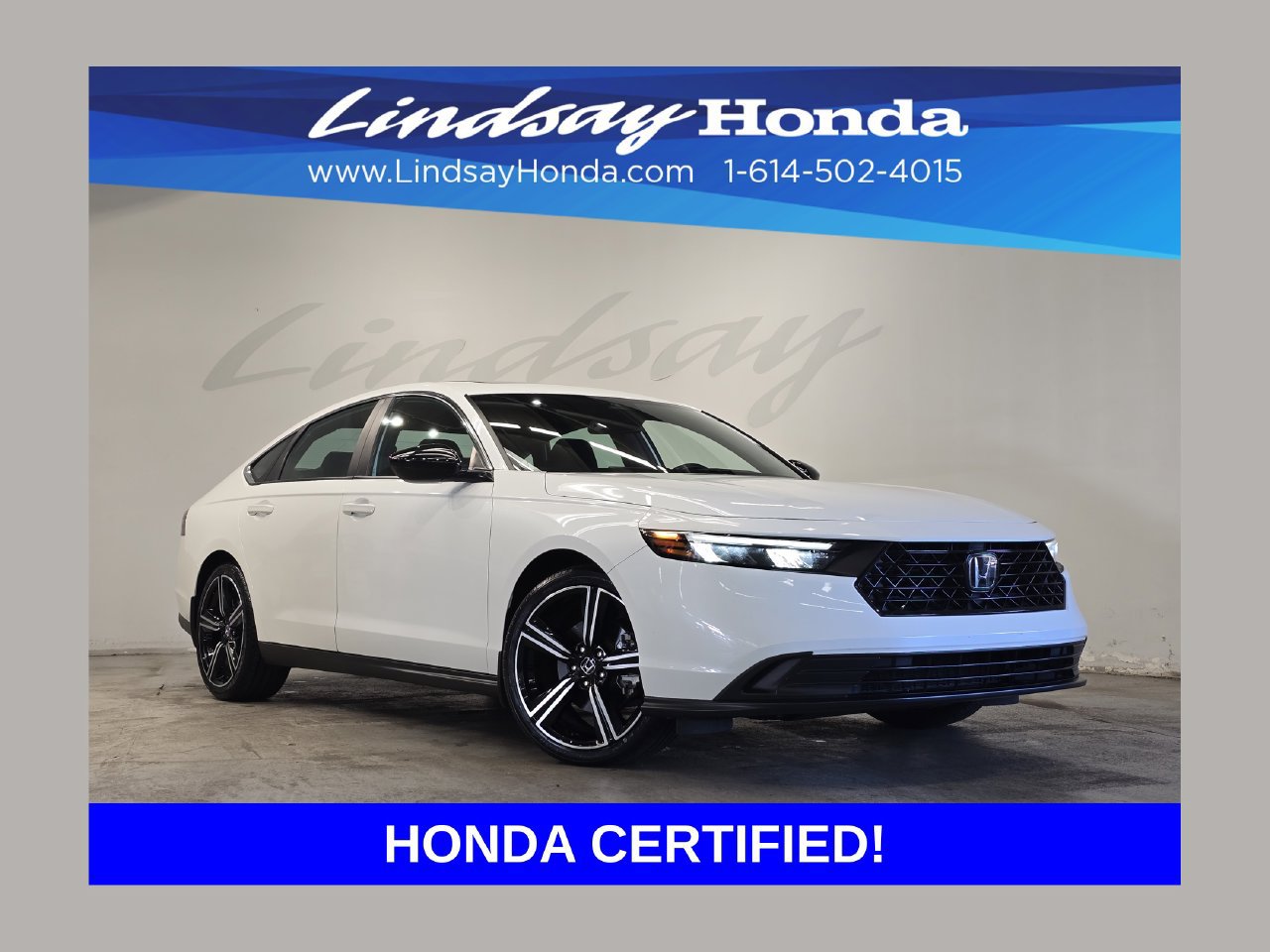Used 2024 Honda Accord Sport image 1