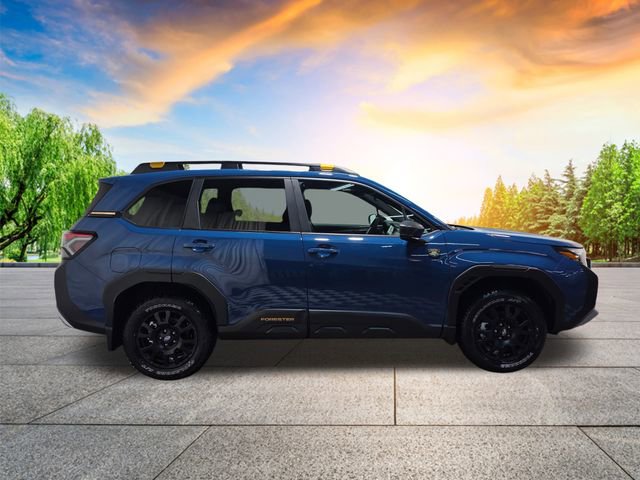 New 2026 Subaru Forester Wilderness w/ Wilderness Plus Package image 3