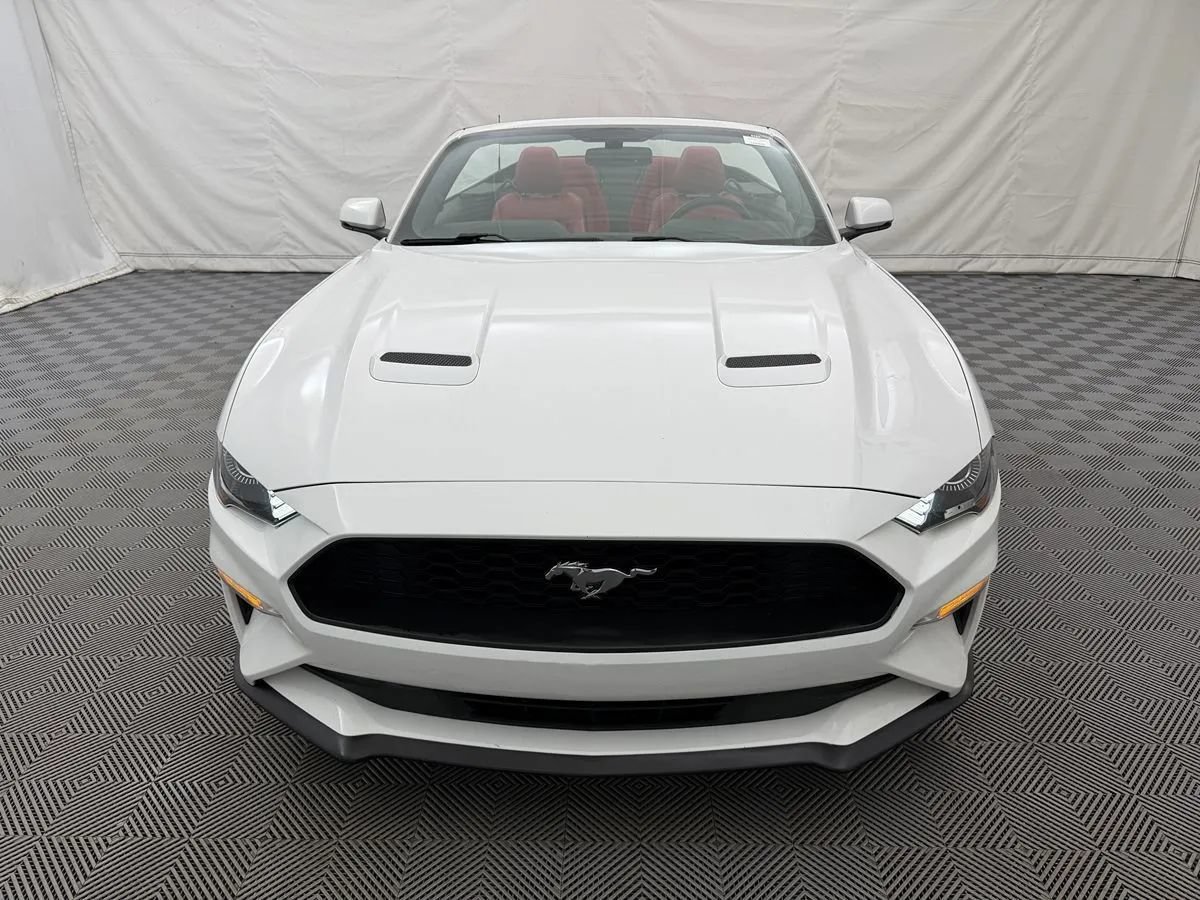 Used 2018 Ford Mustang Premium w/ Equipment Group 201A RWD image 3