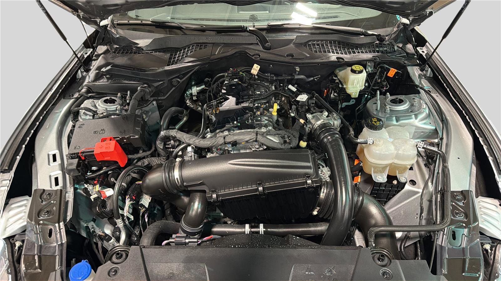 Used 2026 Ford Mustang Premium RWD image 22