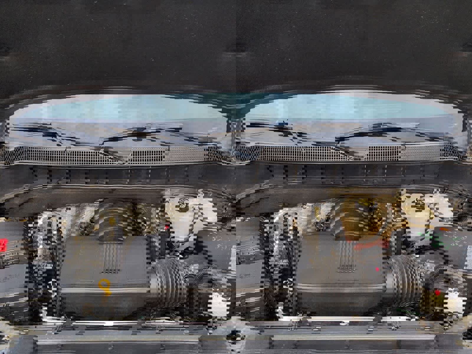 Used 2019 Chevrolet Silverado 1500 LT w/ All-Star Edition image 15