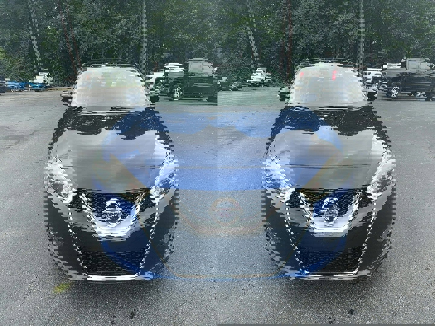 Used 2017 Nissan Maxima Platinum w/ Medallion Package image 2