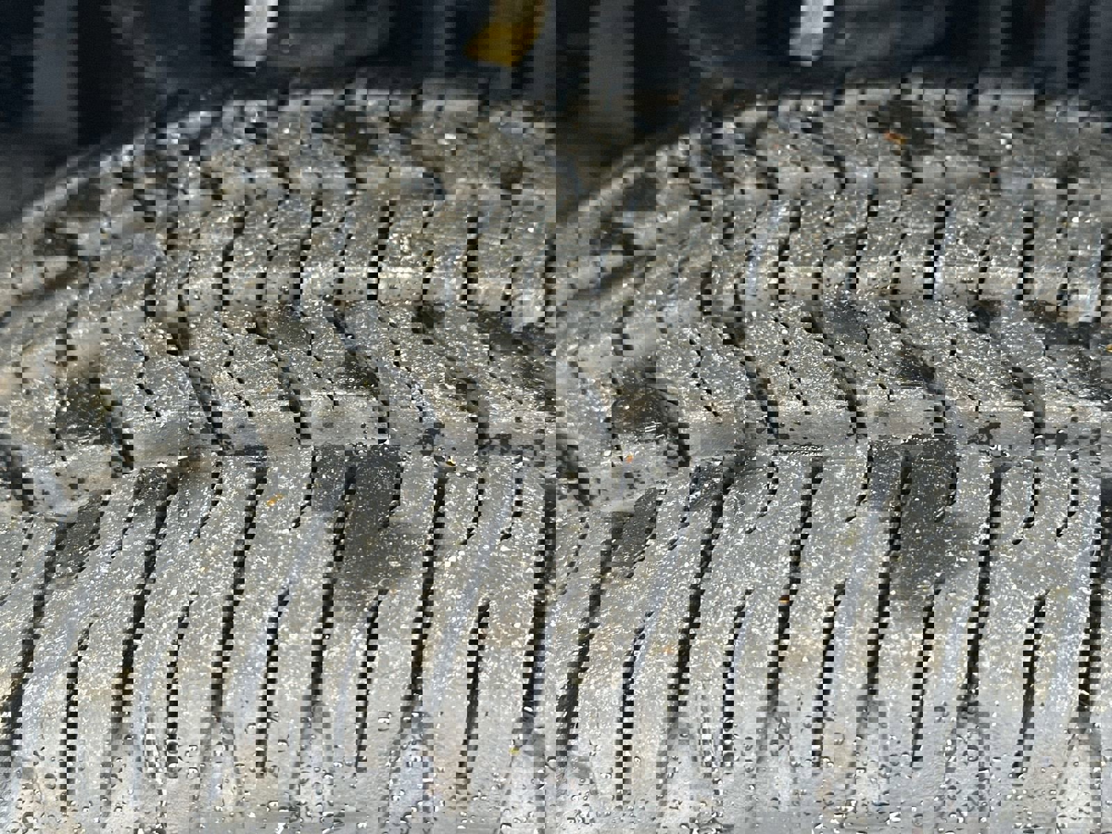 Used 2022 Chevrolet Colorado LT w/ Fleet Safety Package image 12