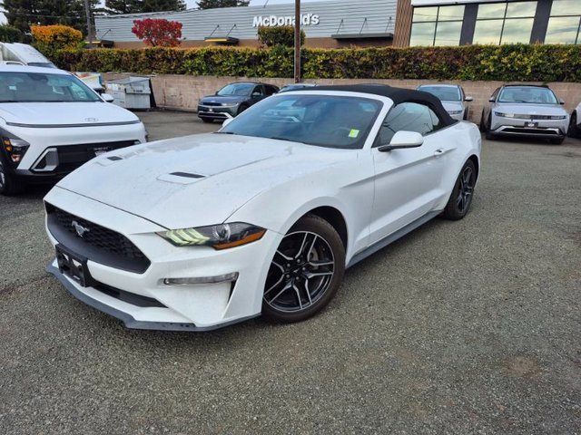 Used 2022 Ford Mustang Premium image 4