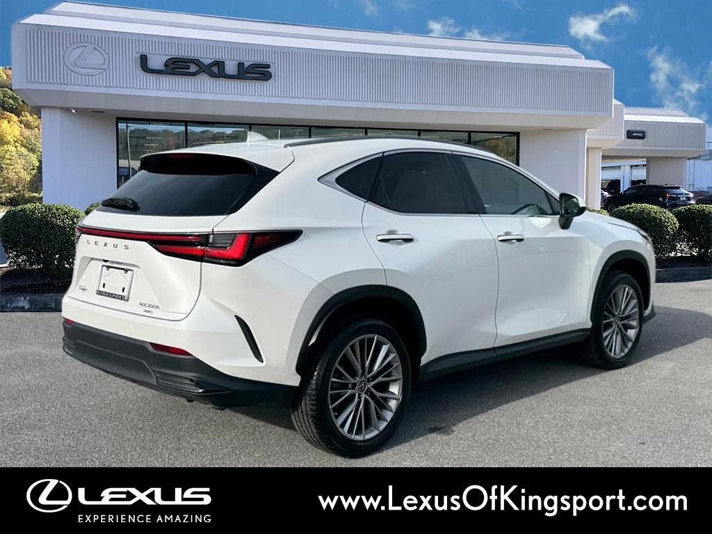 Used 2023 Lexus NX 350h AWD image 6