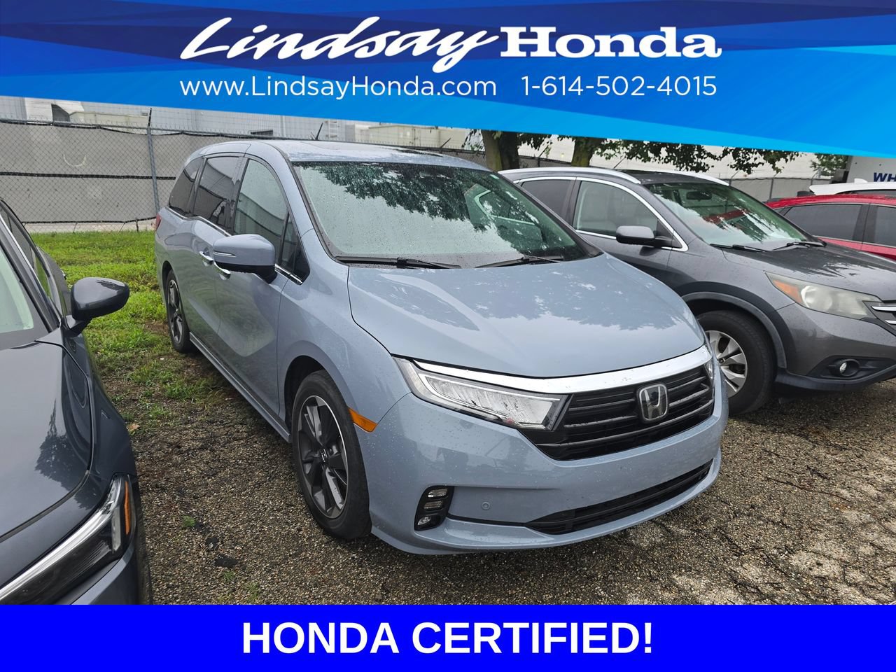 Certified 2024 Honda Odyssey Elite image 3