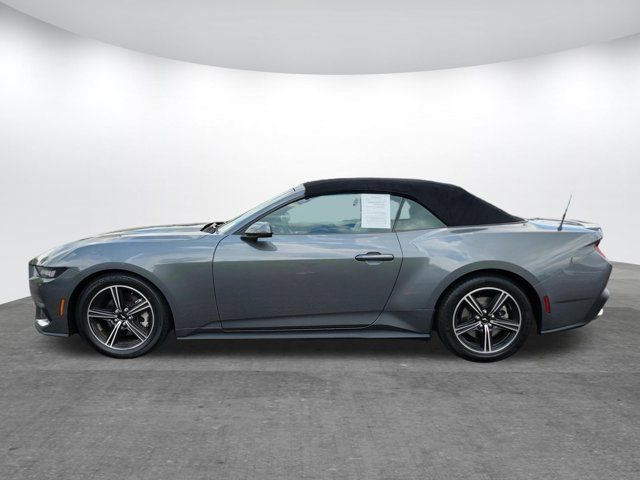 Used 2025 Ford Mustang Premium RWD image 2