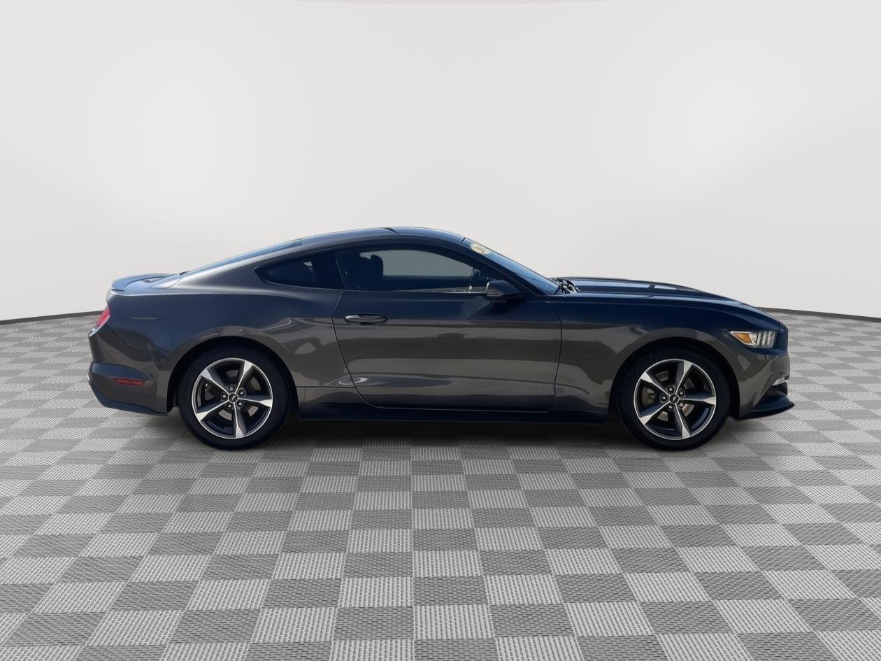 Used 2016 Ford Mustang Coupe w/ Equipment Group 051A image 8