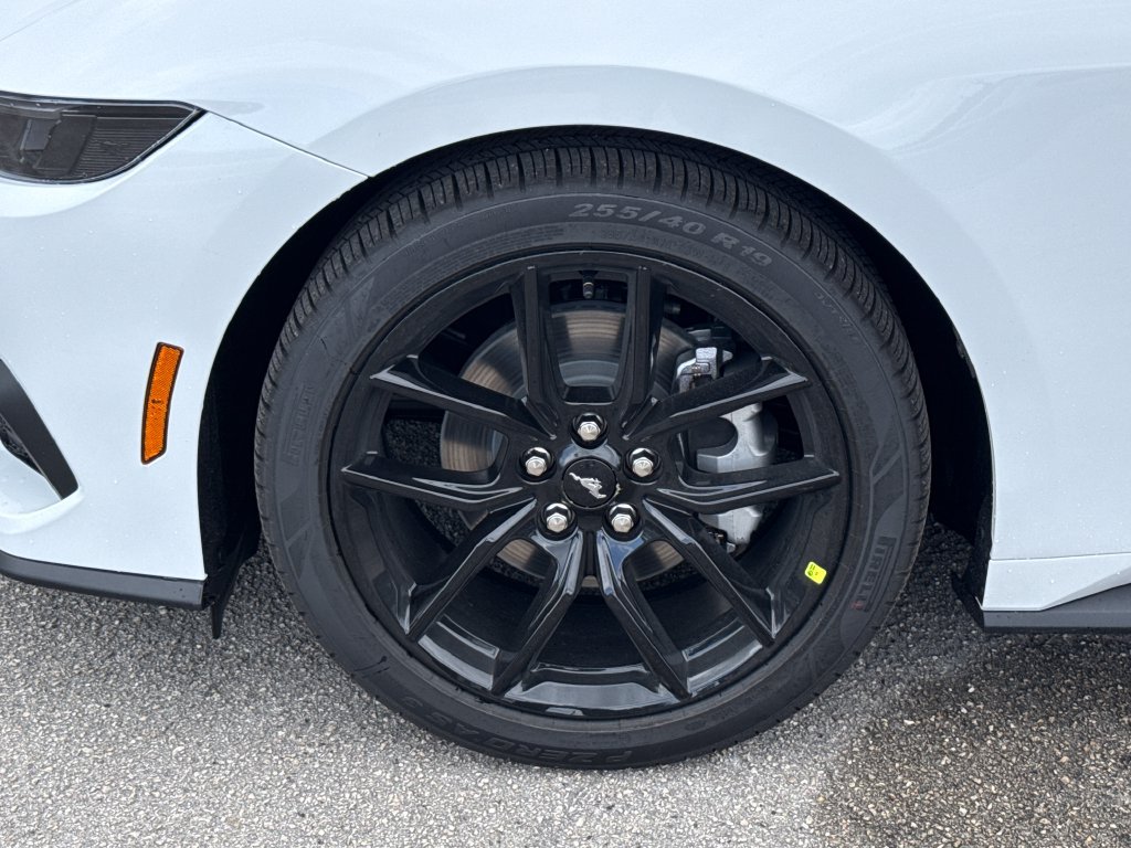 New 2026 Ford Mustang Premium w/ Mustang Nite Pony Package RWD image 7