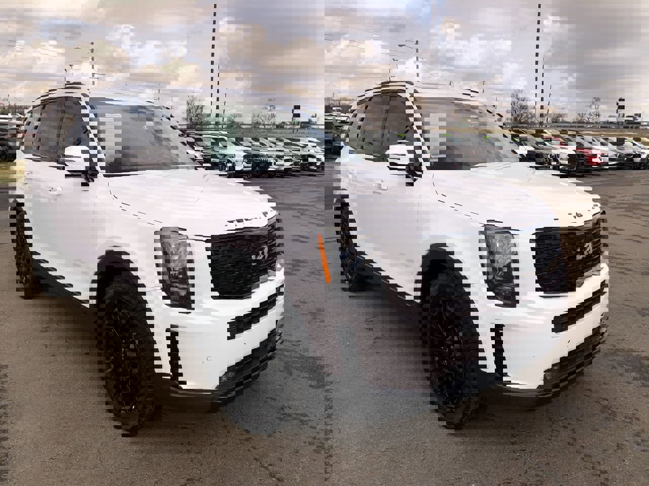 Used 2022 Kia Telluride SX w/ SX Prestige Package image 7