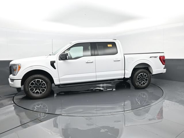 Used 2023 Ford F150 XLT w/ Equipment Group 302A High AWD/4WD image 5