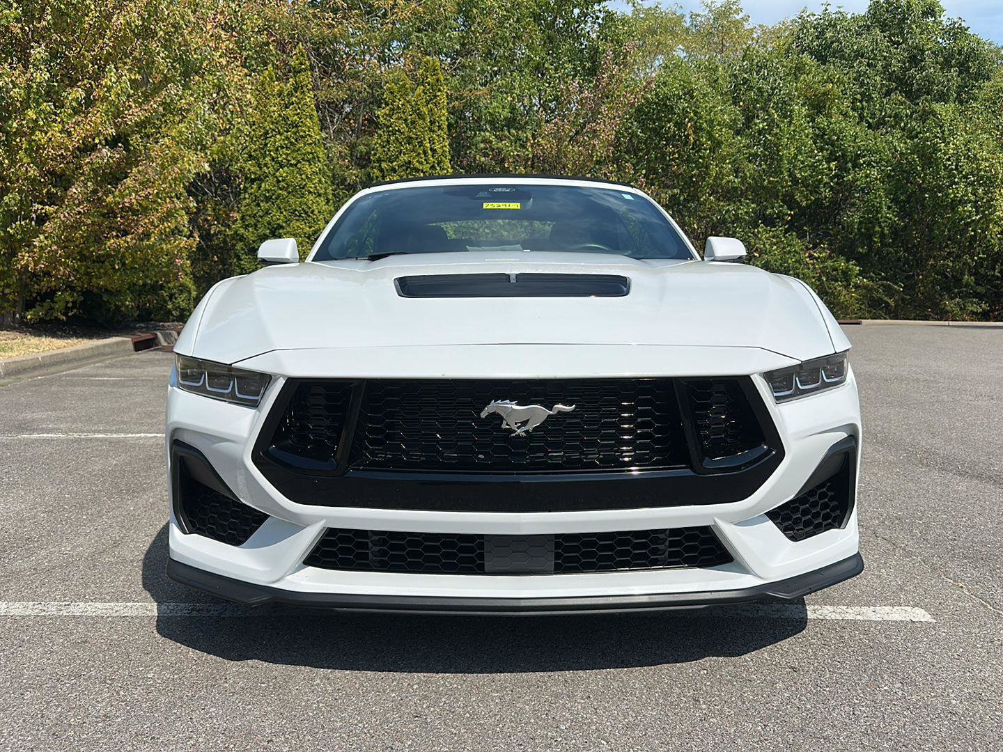 Certified 2024 Ford Mustang GT Premium w/ GT Performance Package RWD image 8