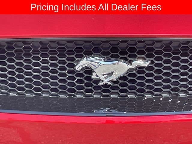 Used 2022 Ford Mustang GT Premium w/ Equipment Group 401A RWD image 11