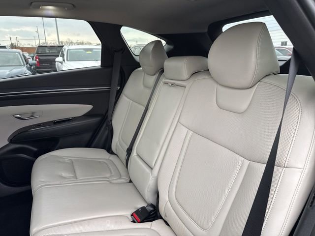 Used 2023 Hyundai Tucson Limited image 14