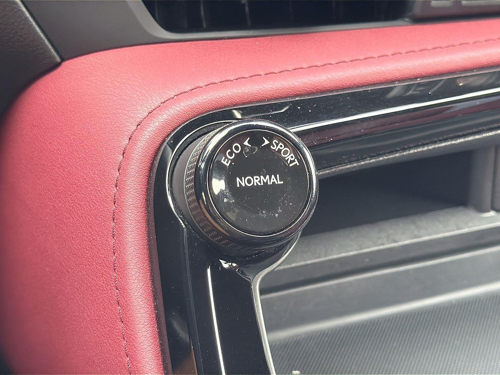 Used 2024 Lexus NX 350 AWD w/ Cold Area Package image 17