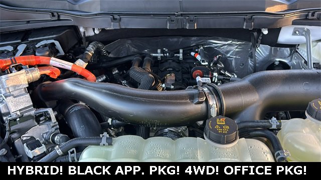 New 2025 Ford F150 XLT w/ Equipment Group 302A MID image 31