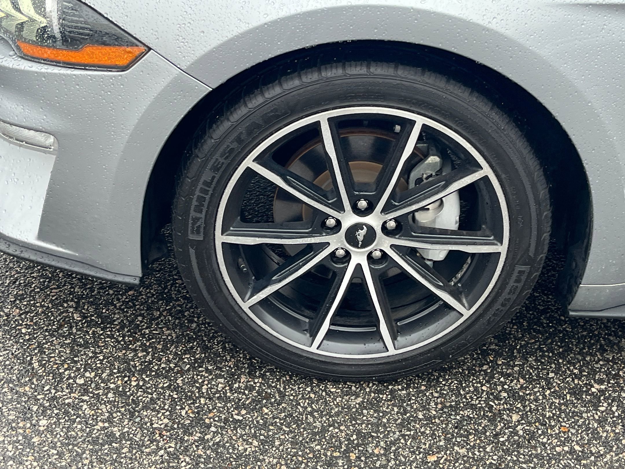 Certified 2021 Ford Mustang Premium w/ Equipment Group 201A image 9