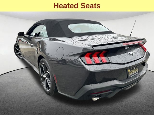 Used 2024 Ford Mustang Premium RWD image 9