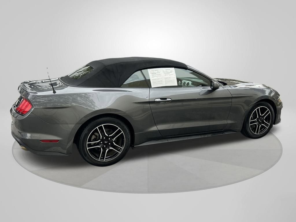 Used 2023 Ford Mustang Premium w/ Equipment Group 201A image 7