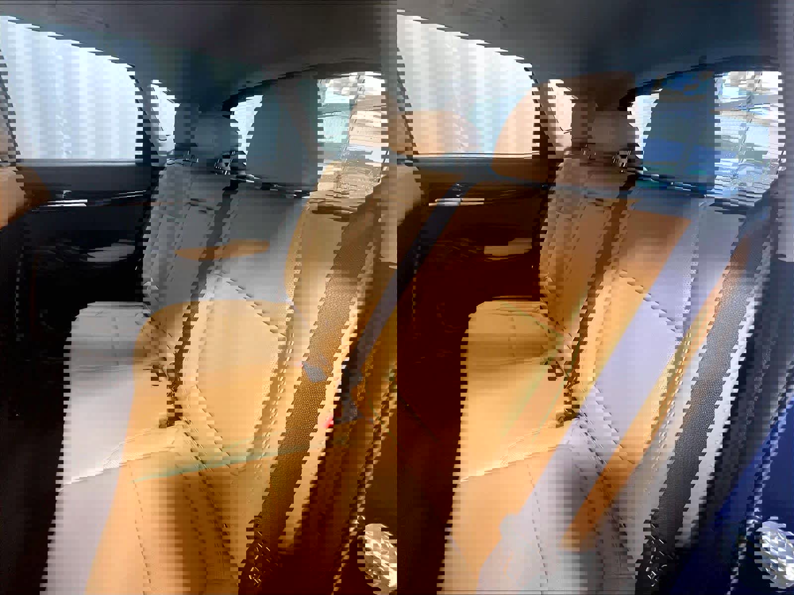 Used 2025 Kia Seltos EX w/ EX Sunroof Package image 15