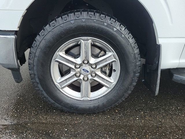 Used 2024 Ford F150 XLT image 10