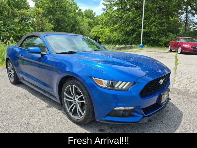 Used 2017 Ford Mustang Premium RWD image 6