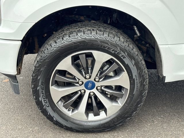 Used 2019 Ford F150 XL w/ Equipment Group 101A Mid image 22