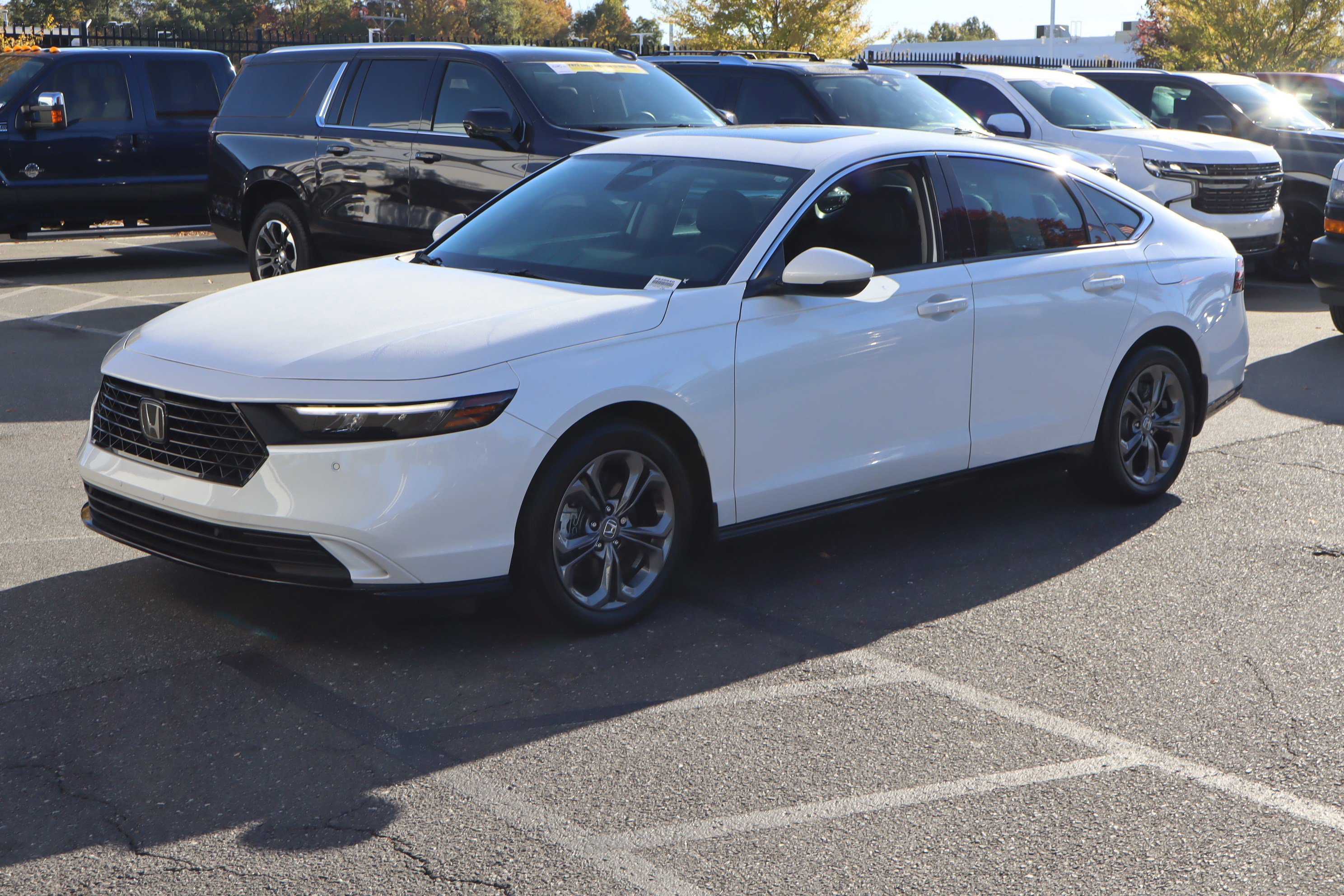 Used 2024 Honda Accord EX-L image 5