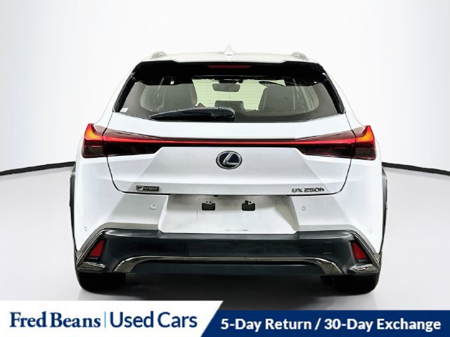 Used 2020 Lexus UX 250h F Sport w/ F Sport Premium Package AWD/4WD image 7