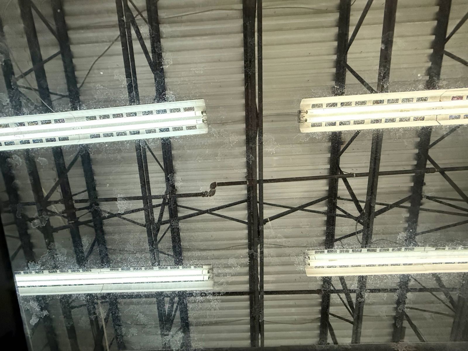 Used 2006 HUMMER H3 image 32