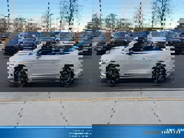 Used 2017 Ford Mustang GT Premium w/ Equipment Group 401A image 4