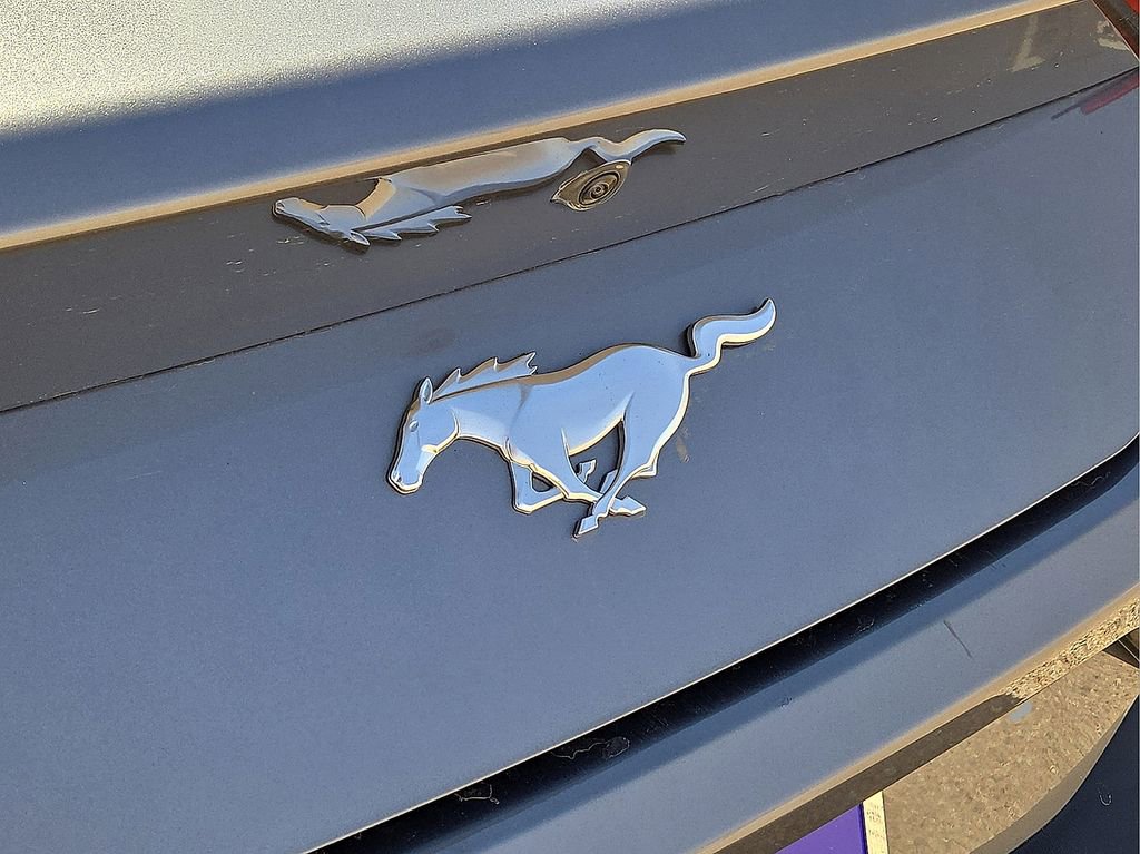 Used 2024 Ford Mustang EcoBoost image 13