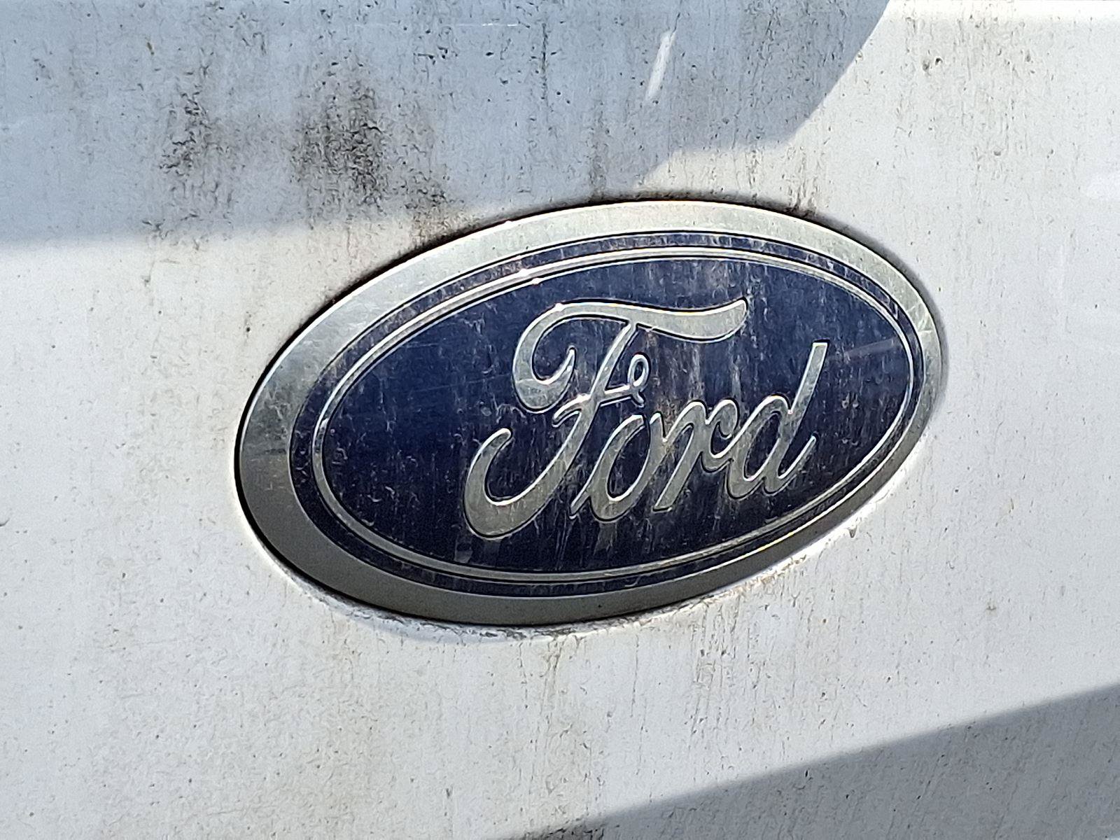Used 2019 Ford F150 XLT w/ Equipment Group 302A Luxury AWD/4WD image 28