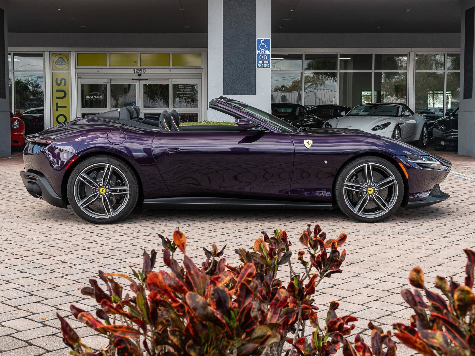 Used 2025 Ferrari Roma Spider RWD image 51