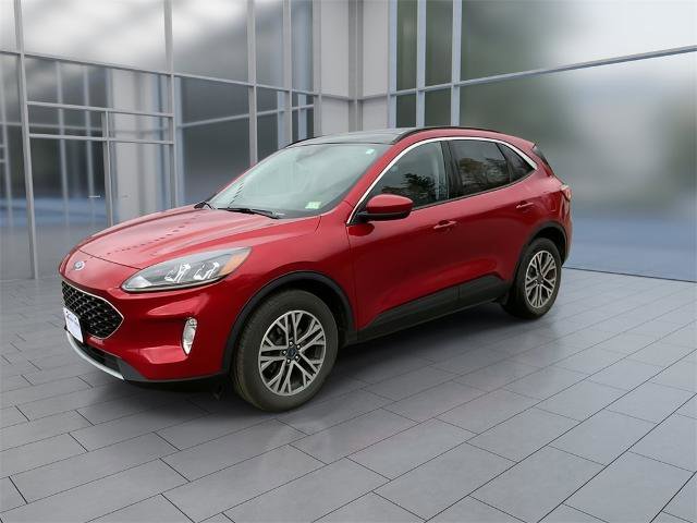 Certified 2020 Ford Escape SEL image 4