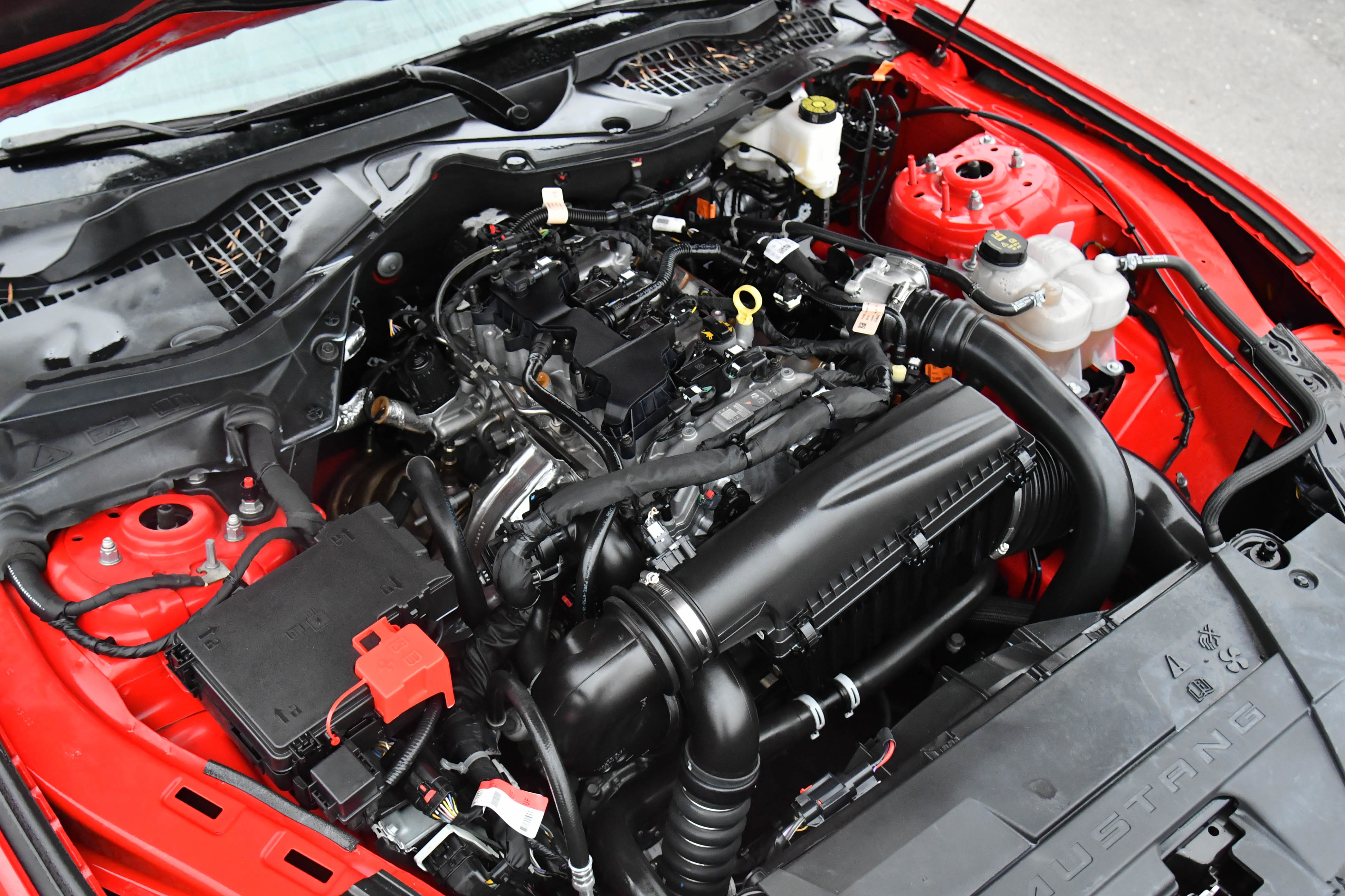 Used 2024 Ford Mustang Premium image 39