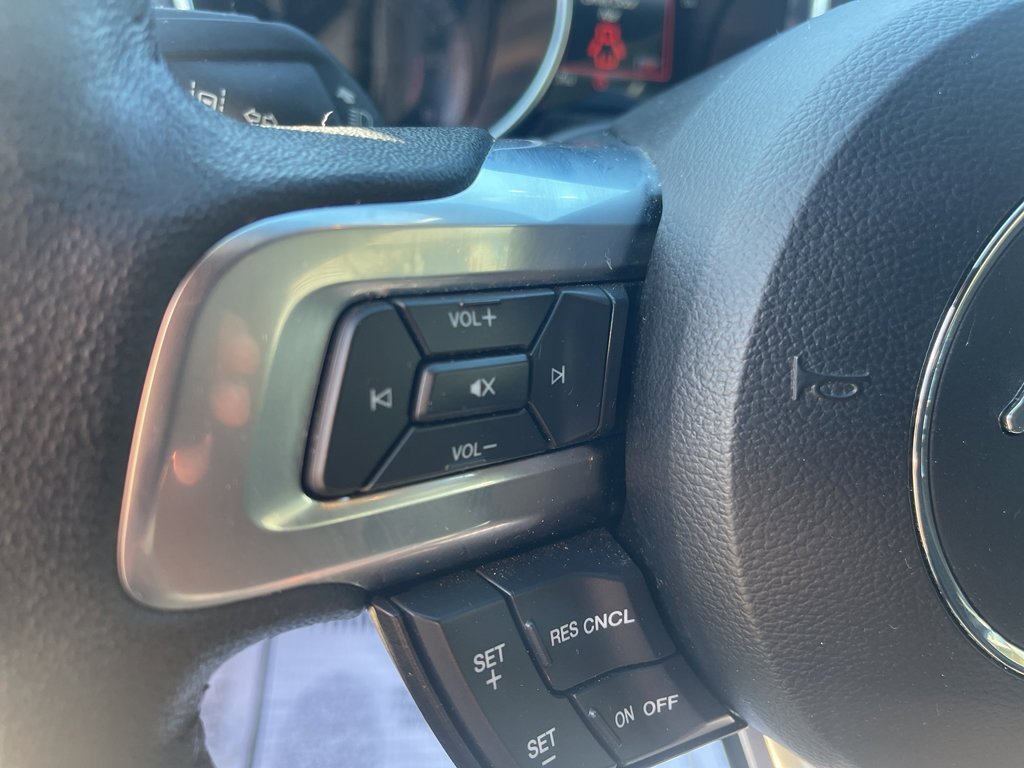 Used 2022 Ford Mustang EcoBoost w/ Equipment Group 101A image 13