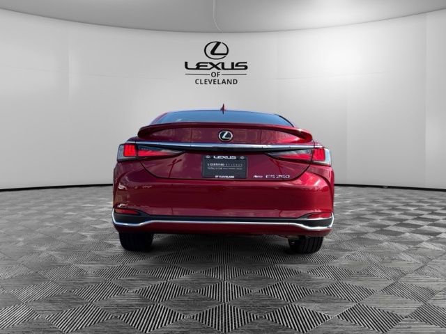 Used 2022 Lexus ES 250 w/ Premium Package AWD/4WD image 6