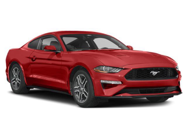 Used 2023 Ford Mustang Coupe w/ Equipment Group 101A RWD image 6