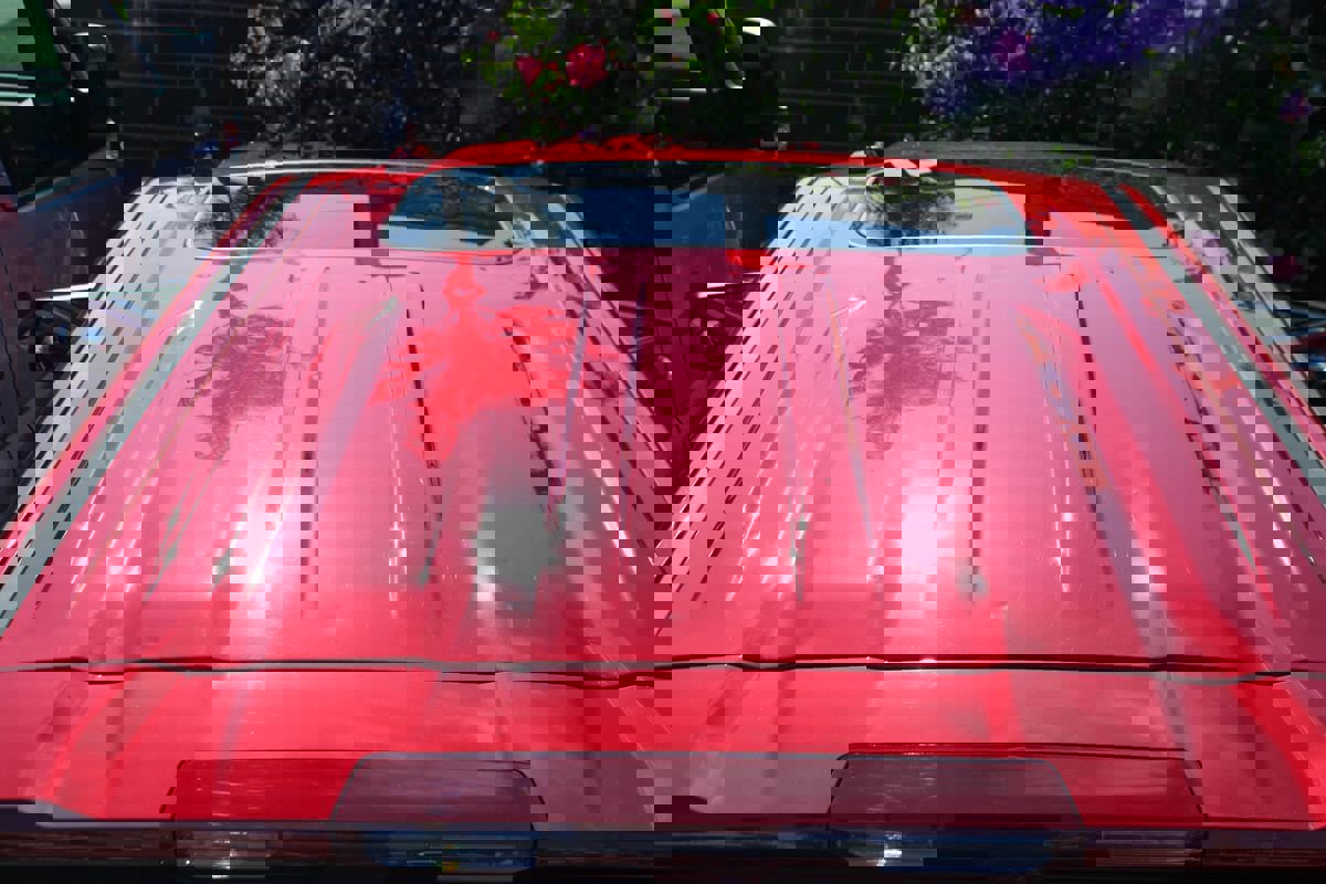 Used 2024 GMC Sierra 1500 Denali w/ Denali Reserve Package image 65