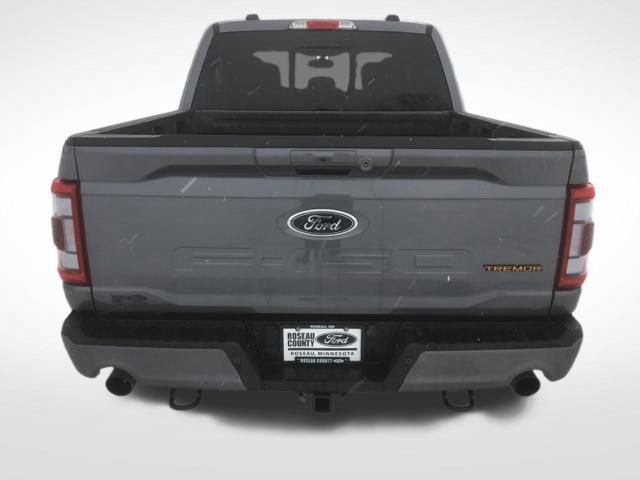 Used 2023 Ford F150 Tremor w/ Equipment Group 402A High image 5