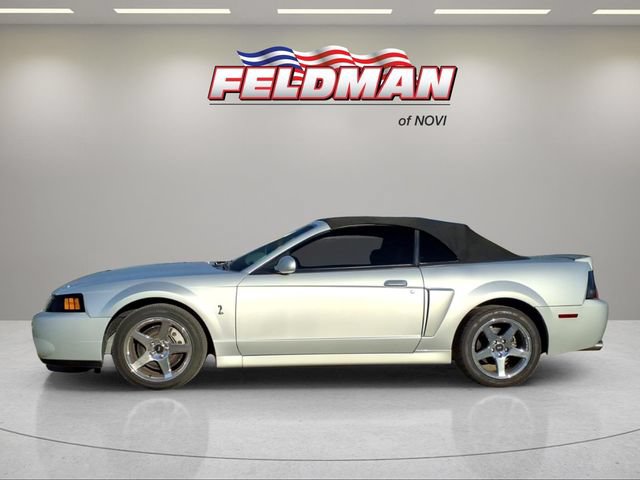 Used 2004 Ford Mustang Cobra RWD image 2