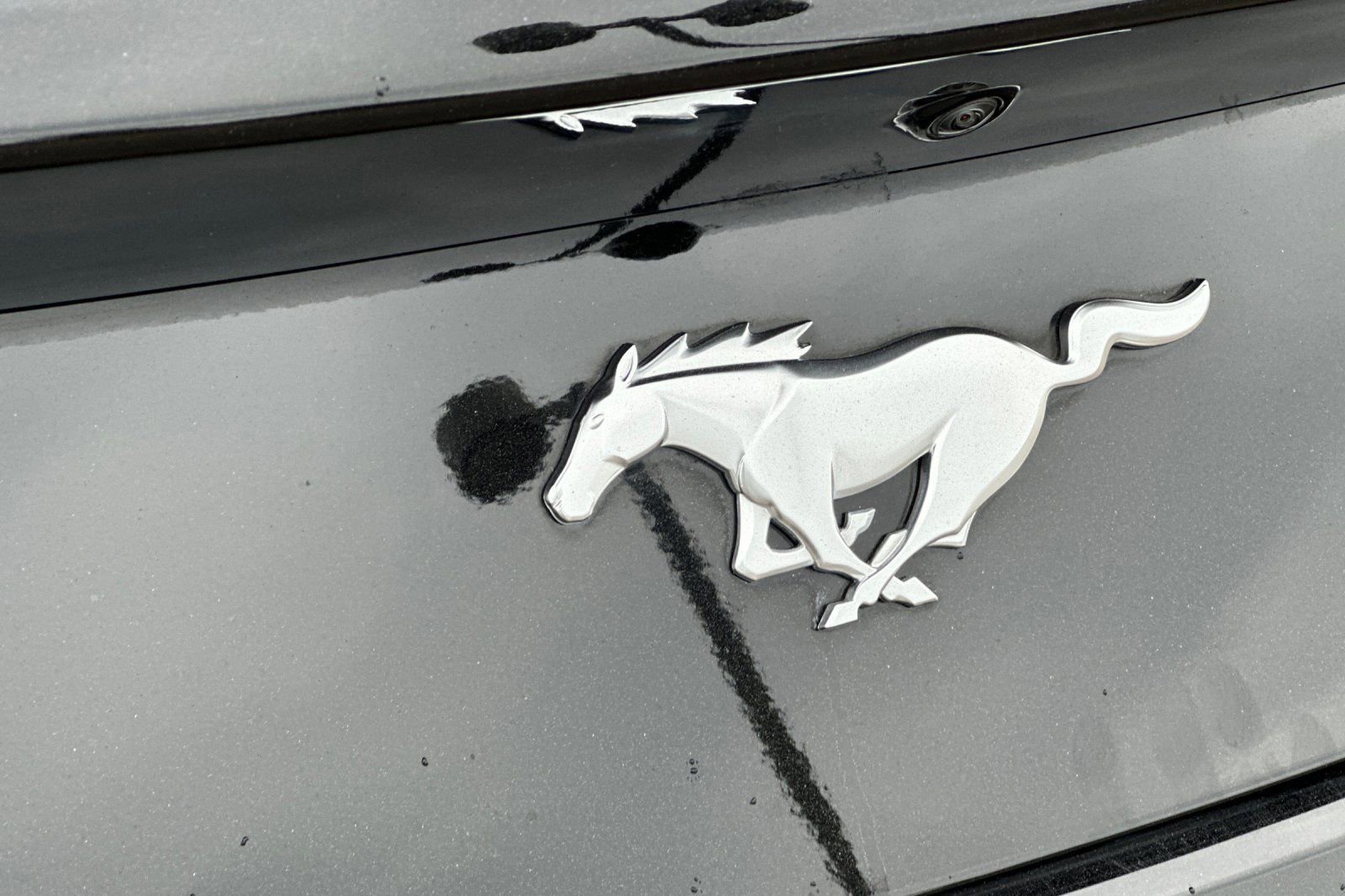 Used 2025 Ford Mustang Coupe RWD image 30