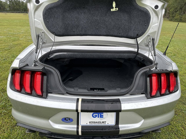 Used 2019 Ford Mustang Premium RWD image 10