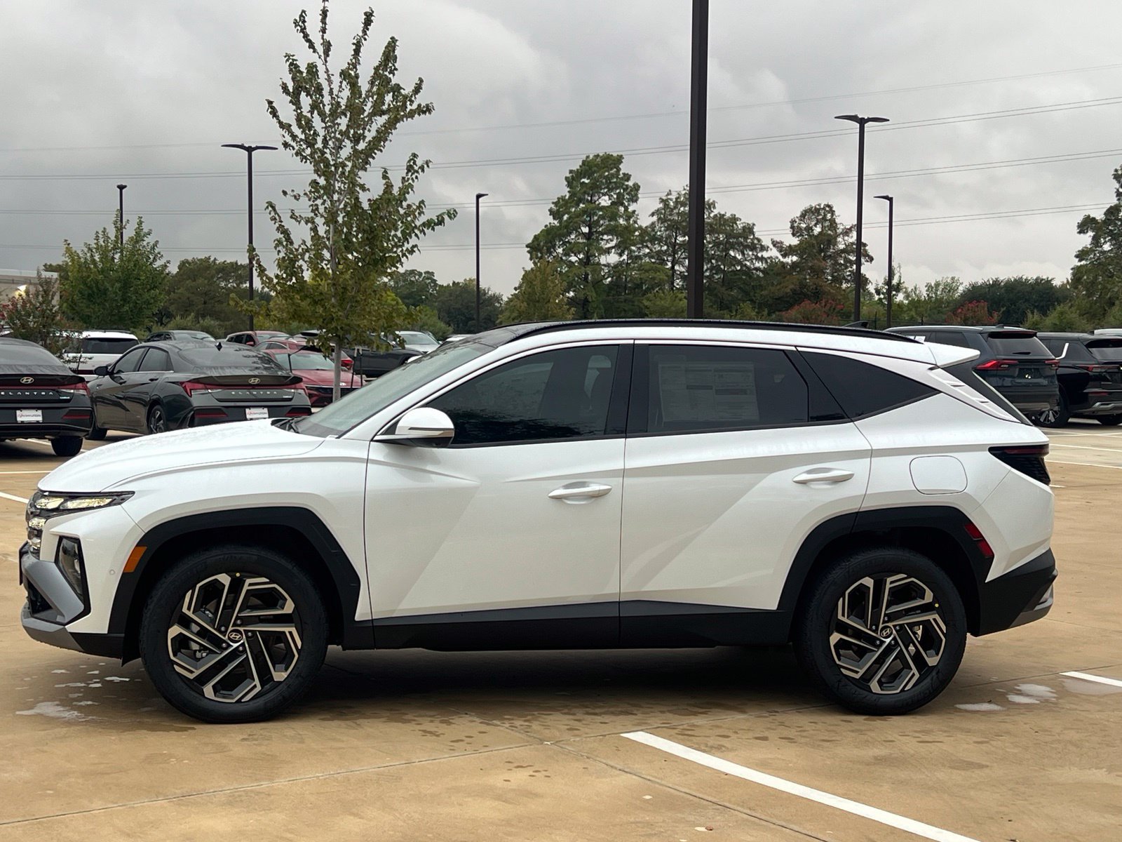 New 2026 Hyundai Tucson Limited w/ Tow & Go Package AWD/4WD image 6